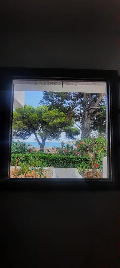 Apartamento Frente Al Mar Alcoceber Exterior photo